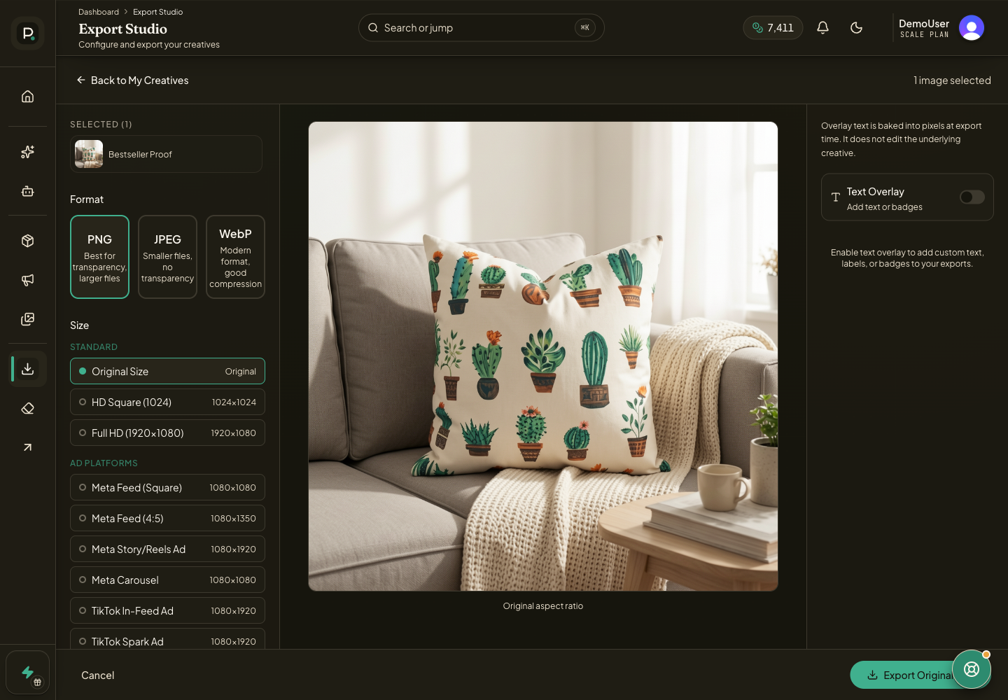Export Studio with preview, format settings, and export controls